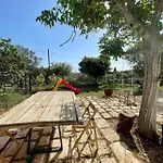 Ferienhaus Il Noce Gorgofreddo